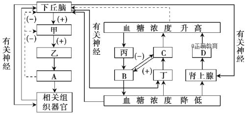 www.xiangpi.com
