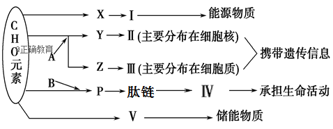 www.xiangpi.com