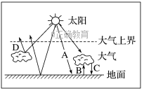 www.xiangpi.com