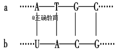 www.xiangpi.com