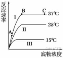 www.xiangpi.com