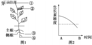 www.xiangpi.com