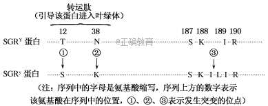 www.xiangpi.com