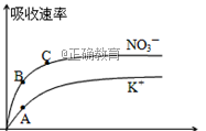 www.xiangpi.com