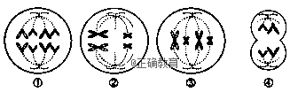 www.xiangpi.com