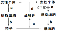 www.xiangpi.com