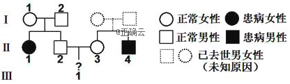 www.xiangpi.com