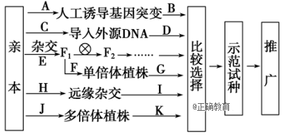 www.xiangpi.com