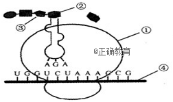www.xiangpi.com