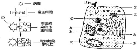 www.xiangpi.com