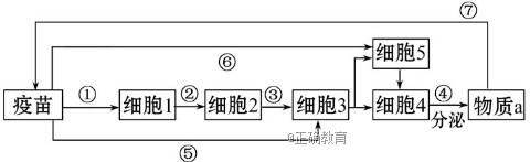 www.xiangpi.com