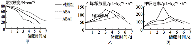 www.xiangpi.com