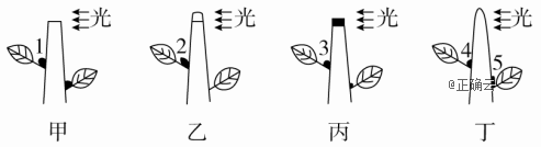 www.xiangpi.com