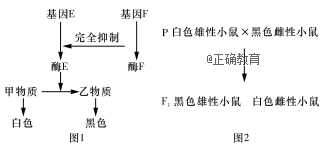 www.xiangpi.com