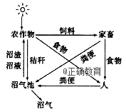 www.xiangpi.com