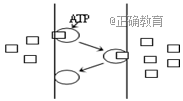 www.xiangpi.com