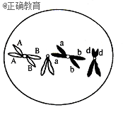 www.xiangpi.com