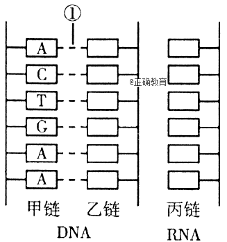 www.xiangpi.com
