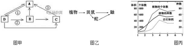 www.xiangpi.com