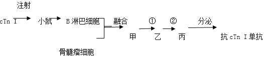 www.xiangpi.com