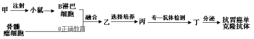 www.xiangpi.com