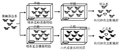 www.xiangpi.com