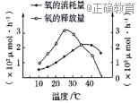 www.xiangpi.com