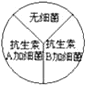 www.xiangpi.com