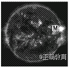 www.xiangpi.com