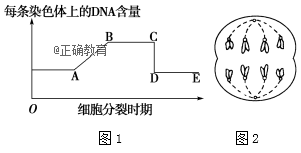 www.xiangpi.com