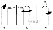 www.xiangpi.com