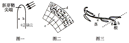 www.xiangpi.com