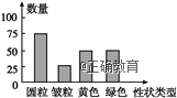 www.xiangpi.com