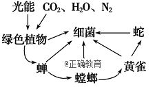 www.xiangpi.com