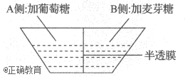 www.xiangpi.com