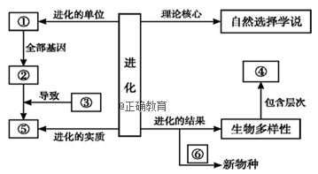 www.xiangpi.com
