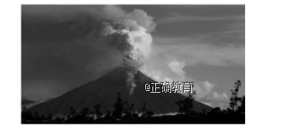 www.xiangpi.com