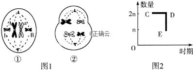www.xiangpi.com