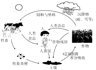 www.xiangpi.com