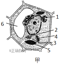 www.xiangpi.com