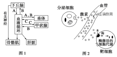 www.xiangpi.com
