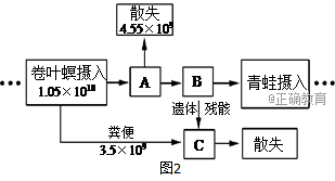 www.xiangpi.com