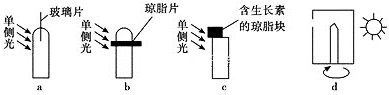 www.xiangpi.com
