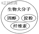 www.xiangpi.com