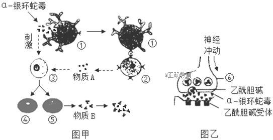 www.xiangpi.com