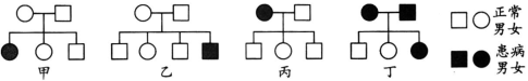 www.xiangpi.com