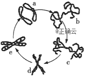 www.xiangpi.com