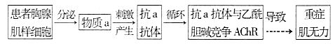 www.xiangpi.com
