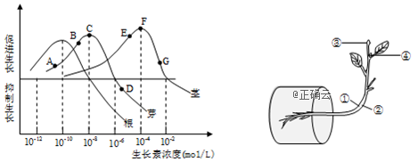www.xiangpi.com
