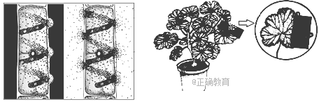 www.xiangpi.com